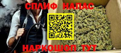 спайс Гагарин