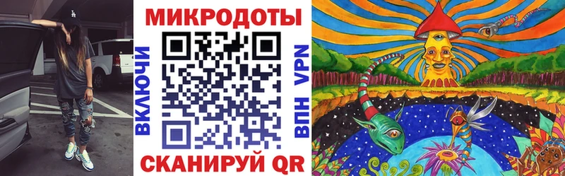 KRAKEN как войти Лабинск Галлюциногенные грибы MAGIC MUSHROOMS