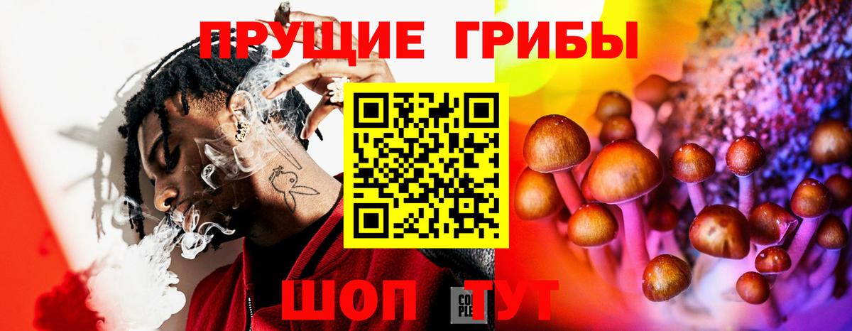 Псилоцибиновые грибы Psilocybe  Вход с VPN  Лабинск 